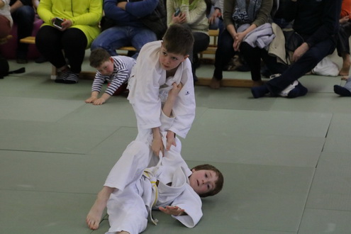 allg184_09.JPG