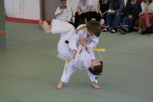 allg184_12.JPG