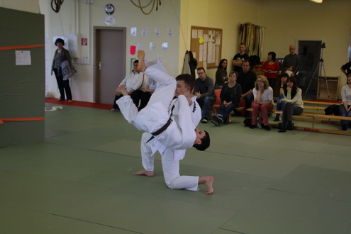 allg184_14.JPG